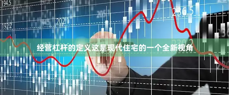 经营杠杆的定义这是现代住宅的一个全新视角